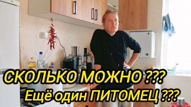 КУПИЛИ ДОМ В ДЕРЕВНЕ | ЕЩЁ ОДИН ПИТОМЕЦ | КАПЕЕЕЦ НАПАСТЬ | Дом в деревне