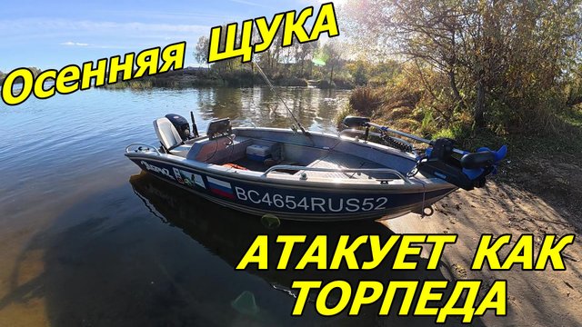 Рыбалка в Лысково. Осенняя Щука рвёт приманки.