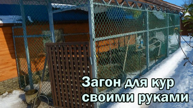 Загон для кур