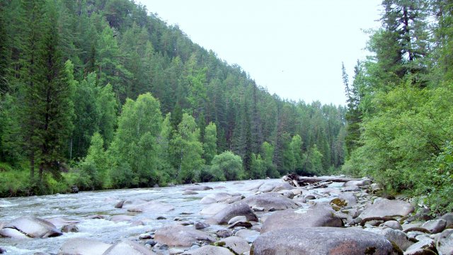 Нилова пустынь.Река Ихэ-Ухгунь.Звуки природы, для релаксации, сна, Медитации, Relax