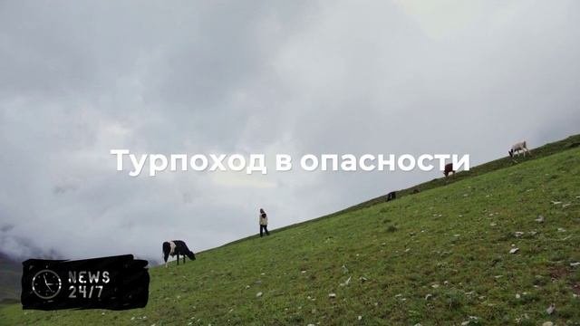 В лесу у Минской петли под Красноярском пропала семья с пятилетним ребенком