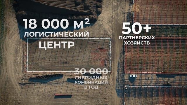 25 лет в селекции и семеноводстве. К юбилею компании  «АГРОПЛАЗМА» .