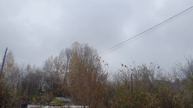 Журавли