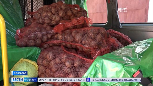 Кузбасским пенсионерам начали доставлять бесплатные овощные наборы