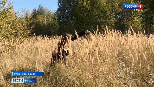 Земля в руки: заброшенные рязанские дачи возвращают в оборот