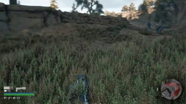 Days Gone #8.