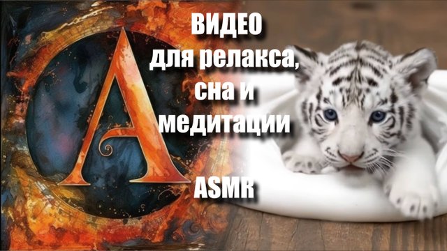 🐰🐻🐾🦊🐶  Залипательные ASMR-видео для релакса | ASMR-медитация | Тактильные миры |  Артгейм