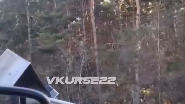 ДТП под Павловском