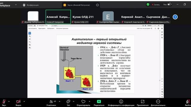 физиология синапсы 3