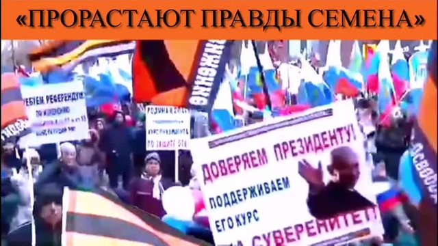 «Прорастают правды семена»