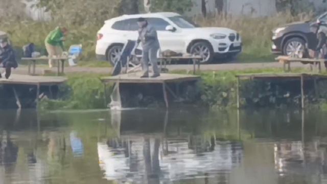 Фрель радует.