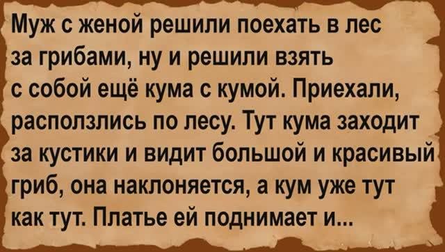 Как кумовья в лес за грибами ездили. Сборник анекдотов