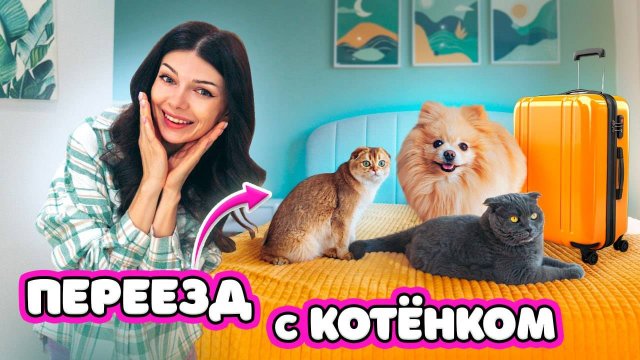 КОТЕНОК ПЕРЕЕХАЛ в НОВЫЙ ДОМ | ПЕРЕЕЗД с ПИТОМЦАМИ | 24 ЧАСА в НОВОЙ КВАРТИРЕ ОДИН ДЕНЬ с ПИТОМЦАМИ