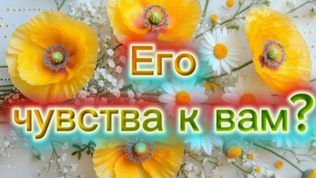 Его чувства к вам?  #чувства #чувстваквам