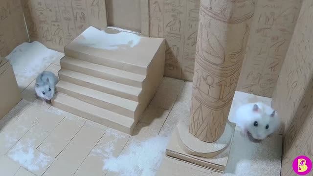 КВЕСТ для ХОМЯЧКОВ или КАК ВЫБРАТЬСЯ ИЗ ДРЕВНЕЙ ГРОБНИЦЫ