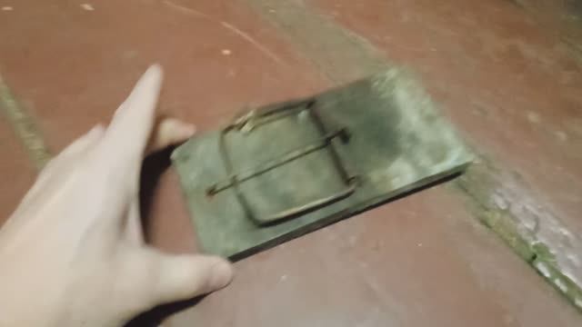 Как поставить мышеловку