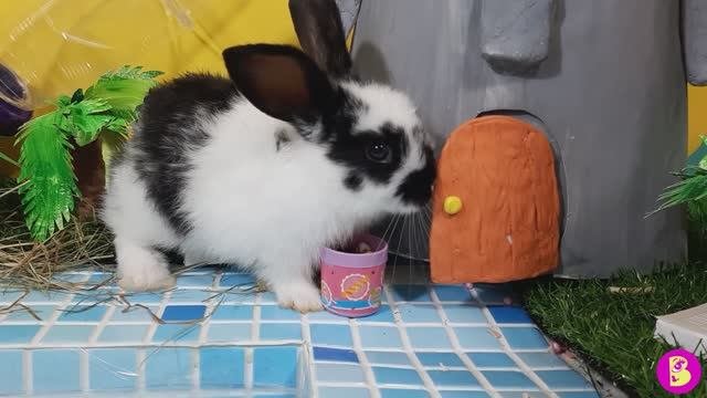 УГАДАЙ, ЧТО НА КАРТИНЕ?**СЛАЙМ ЧЕЛЛЕНДЖ для ХОМЯЧКОВ** РИСУЕМ СЛАЙМОМ**