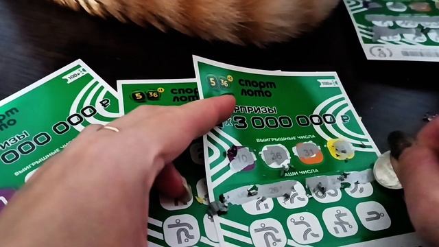 Проверка билетов от Столото под названием 5 из 36 🧩