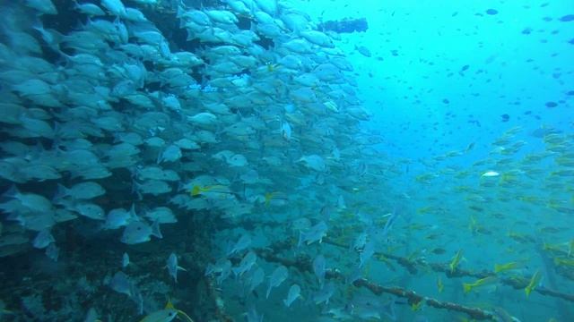 ТАЙЛАНД. КО ЧАНГ.ПАТТАЯ