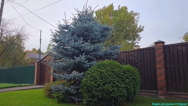 Как же прекрасна осень!🍁🍁🍁