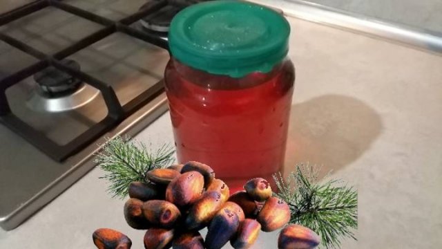 Настойка на кедровых орешках. Кедровка простой рецепт