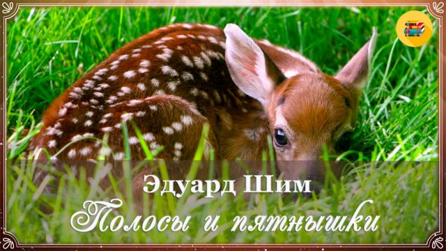 📗 Э. Шим. Полосы и пятнышки | Познавательные сказки | Сказки о животных