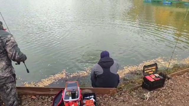 WhatsApp Video 2025-10-12 at 10.01.20