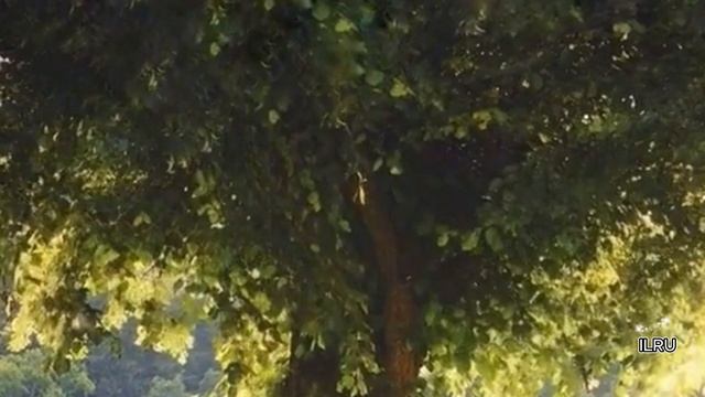 Истории из жизни Не чувствую любви  к мужу во время беременности| |Аудио рассказы |Аудиокниги