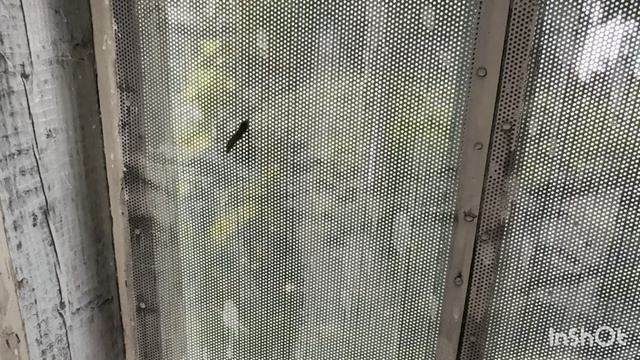 Спасение бабочек. Поездка к маме