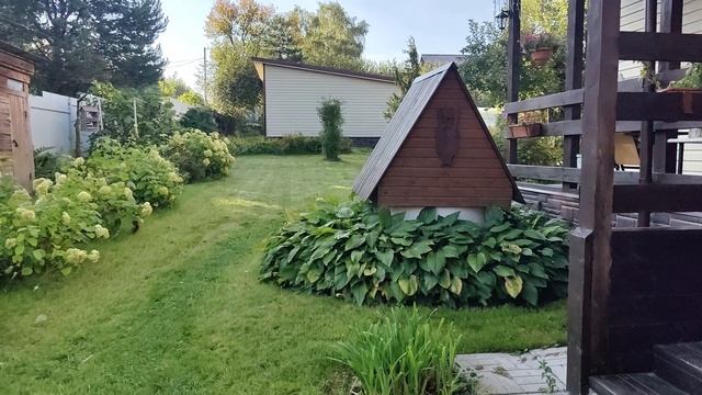 Голуби в небе .С хорошей погодой . VID_20250905_081115.mp4