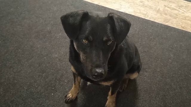 Самые красивые глаза.