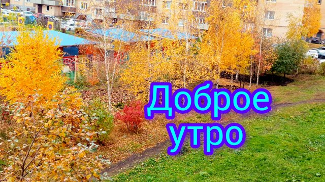 Доброе🐱утро🍁17-10-2025