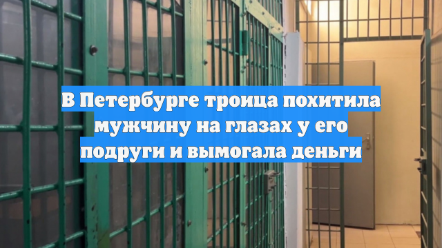 В Петербурге троица похитила мужчину на глазах у его подруги и вымогала деньги