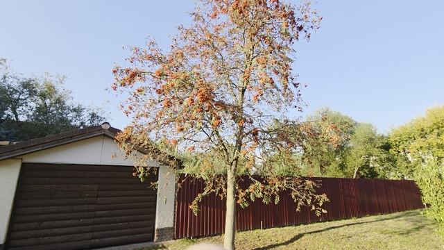 Прогулка по Твери. Частный сектор.