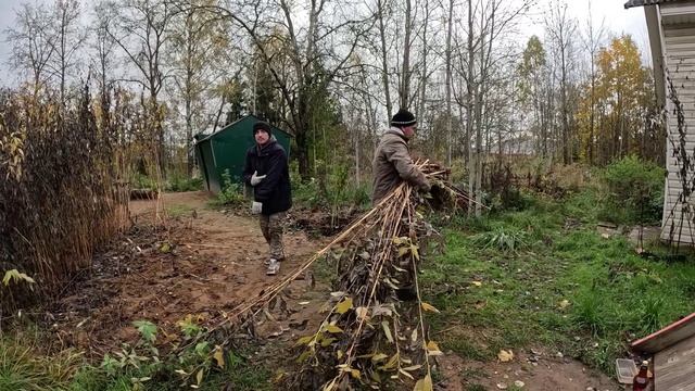 Прогуляли микроволновку, выручил Валюшу, Садоводы-охотники, Сбор топинамбура, трезвая жизнь, Света'