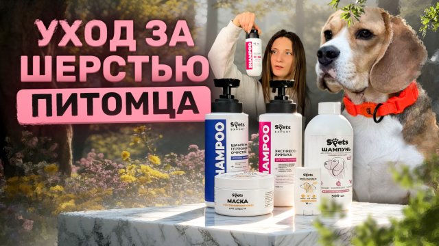 Экспресс линька в домашних условиях - правда или вымысел?