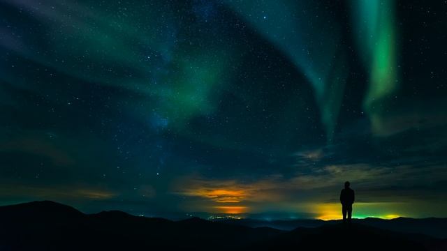 Дикая природа 4К 8К Full HD ультра (Wildlife 4K 8K Full HD Ultra)