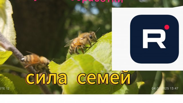 осень на пасике #деревня #пчеловодство #пчелв