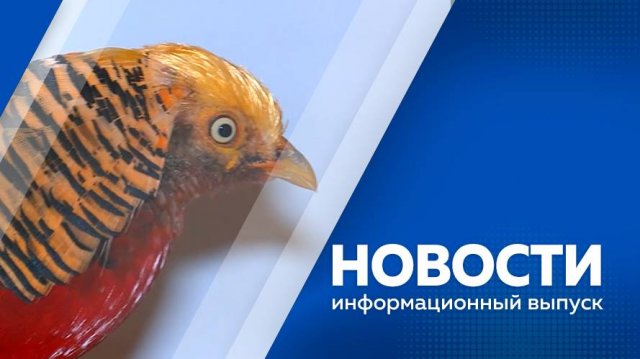 Новости 22.10.2025г.