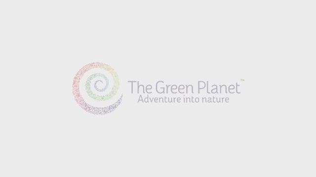 The Green Planet (ОАЭ)