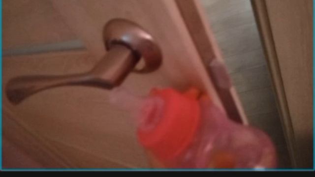 Vlog / С РЕБОРНОМ Евой кормим и ухаживаем за РЕБОРНОМ  РЕБОРН