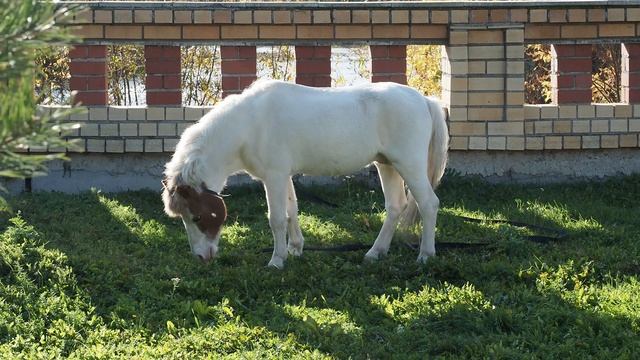 Золотая осень в санатории Обуховский
