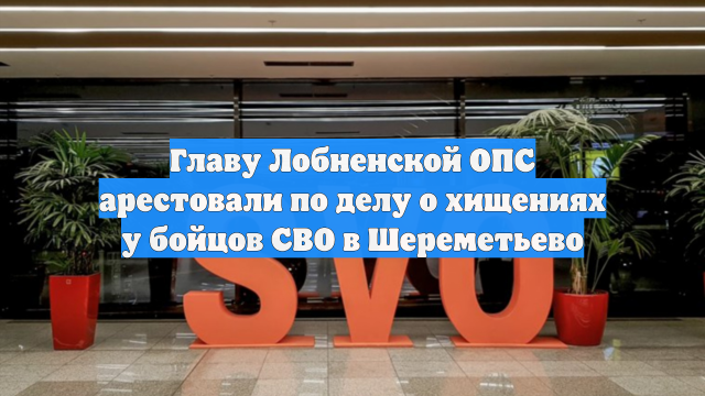 Главу Лобненской ОПС арестовали по делу о хищениях у бойцов СВО в Шереметьево