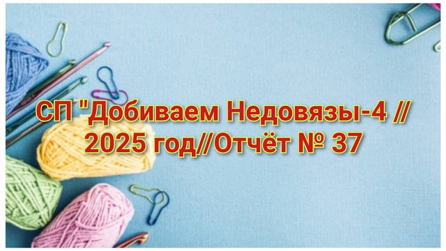 СП "Добиваем Недовязы-4 //2025 год//Отчёт № 37 // Организатор СП Марина Стогова