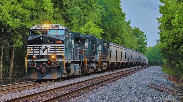 Учим поезда для детей - виды поездов - познавательное видео для самых маленьких