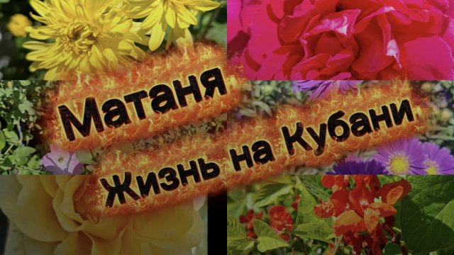 Вырезали малину. Куриные отбивные. Расхламляемся.🤭 Живём и работаем на Кубани.