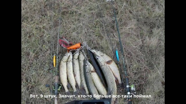 Батл для Щуки. Фильм 5 финальный, Тренировка спортсмена любителя рыболова