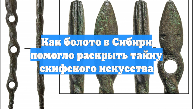 Как болото в Сибири помогло раскрыть тайну скифского искусства