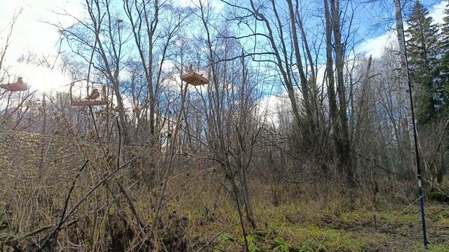 Ловля 26.10.25.