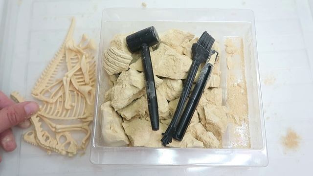 Раскопки "Тираннозавр", компания "Десятое королевство"